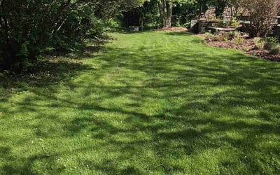 Photo of Demaris D.'s yard after getting lawn care in Darien, IL