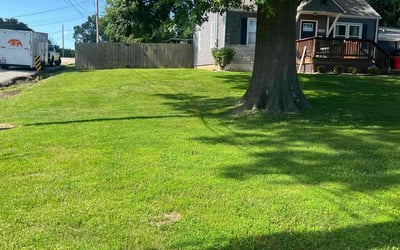 Photo of Itohan O.'s yard after getting lawn care in Munster, IN