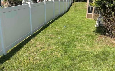 Photo of Bea D.'s yard after getting lawn care in Springfield, PA