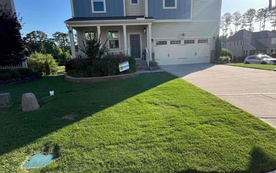 Photo of George T.'s yard after getting lawn care in Brighton, MA