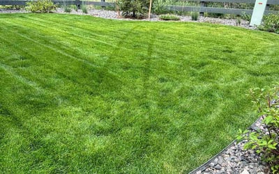 Photo of Franklin H.'s yard after getting lawn care in Castle Pines, CO