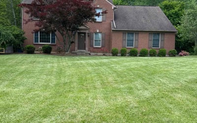 Photo of Isabel B.'s yard after getting lawn care in Davenport, FL