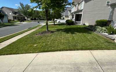 Photo of Jayme B.'s yard after getting lawn care in Charlotte, NC