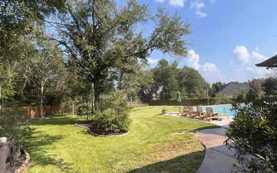 Photo of Deloris T.'s yard after getting lawn care in College Station, TX