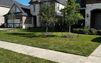 Photo of Megan R.'s yard after getting lawn care in Pawtucket, RI