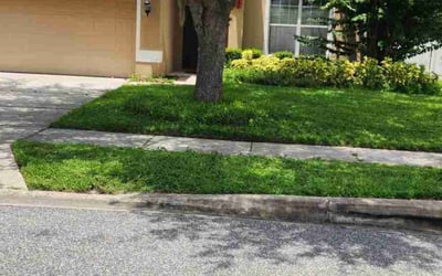 Photo of Nancy K.'s yard after getting lawn care in Mount Dora, FL