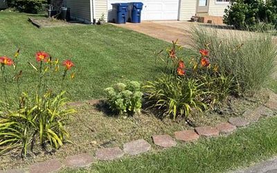 Photo of Gail F.'s yard after getting lawn care in Waterloo, IL