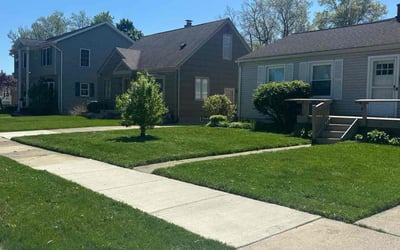 Photo of John R.'s yard after getting lawn care in Royal Oak, MI