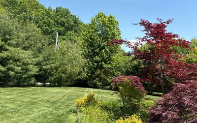 Photo of Cheza G.'s yard after getting lawn care in North Attleboro, MA