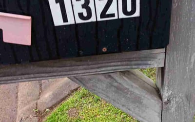 Photo of Ted C.'s yard after getting lawn care in Marysville, WA