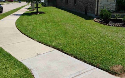Photo of Leeann Q.'s yard after getting lawn care in Gresham, OR