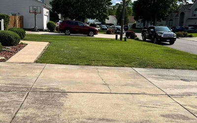 Photo of Aretina A.'s yard after getting lawn care in Highland Springs, VA