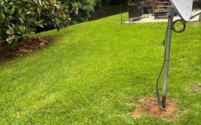 Photo of Kellie M.'s yard after getting lawn care in Garner, NC