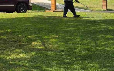 Photo of Victor A.'s yard after getting lawn care in Austin, TX