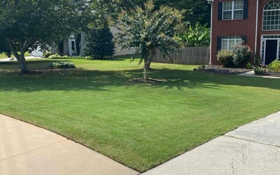 Photo of Margaret S.'s yard after getting lawn care in Chatsworth, GA