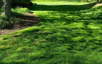 Photo of Odiah N.'s yard after getting lawn care in Hatfield, PA