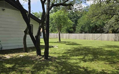 Photo of Brooke M.'s yard after getting lawn care in Westport, CT