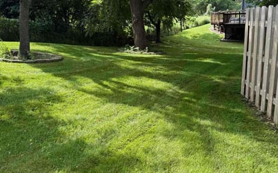 Photo of Robert W.'s yard after getting lawn care in Jacksonville, FL