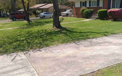 Photo of Kimberly G.'s yard after getting lawn care in Red Bank, NJ