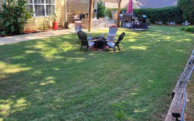Photo of Cooper C.'s yard after getting lawn care in Covington, GA