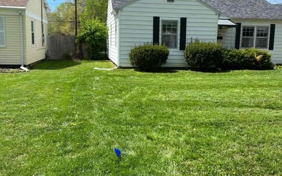 Photo of Jessie C.'s yard after getting lawn care in Springfield, MO