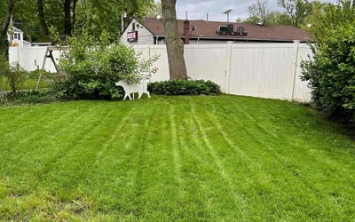 Photo of Rukia R.'s yard after getting lawn care in Keansburg, NJ