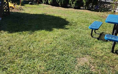 Photo of joe b.'s yard after getting lawn care in Lawrence, MA