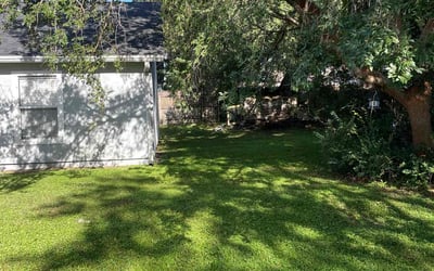 Photo of Alisha S.'s yard after getting lawn care in Deltona, FL