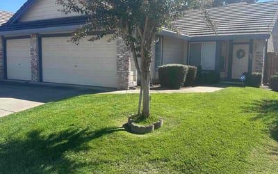 Photo of Michael P.'s yard after getting lawn care in Antelope, CA
