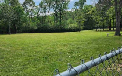 Photo of Kaelan W.'s yard after getting lawn care in Greenbrier, AR