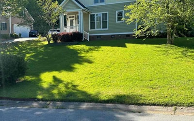 Photo of Stephen S.'s yard after getting lawn care in Wilkes Barre, PA