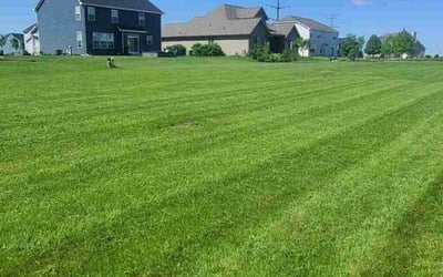 Photo of Yasser B.'s yard after getting lawn care in Shorewood, IL