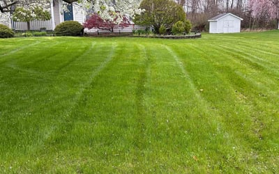 Photo of Lavena W.'s yard after getting lawn care in Rochester, NH