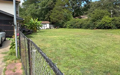 Photo of Patryce W.'s yard after getting lawn care in Hazel Crest, IL