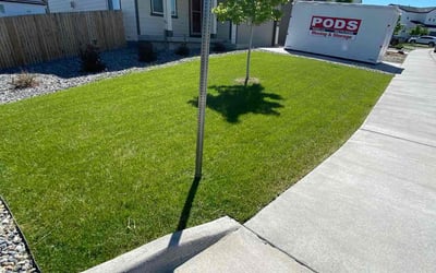 Photo of Deborah K.'s yard after getting lawn care in Castle Rock, CO