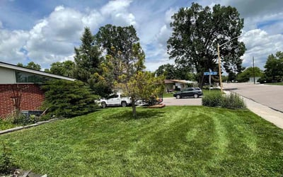 Photo of Tehilah N.'s yard after getting lawn care in Lakewood, NJ