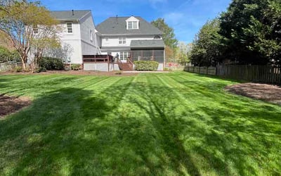 Photo of Jonathan M.'s yard after getting lawn care in Kingsport, TN