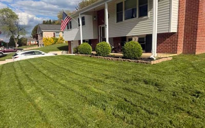 Photo of Christian L.'s yard after getting lawn care in Austin, TX