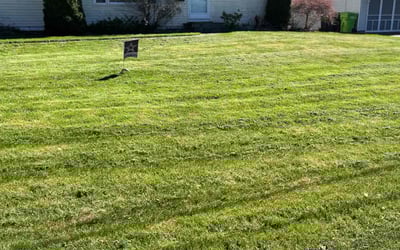 Photo of Mark s.'s yard after getting lawn care in Canastota, NY