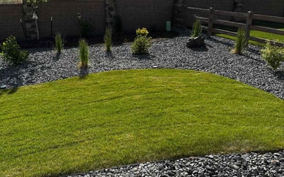 Photo of Mariah K.'s yard after getting lawn care in Colorado Springs, CO