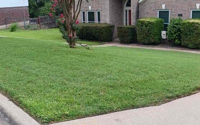 Photo of Aaron J.'s yard after getting lawn care in Cedar Creek, TX