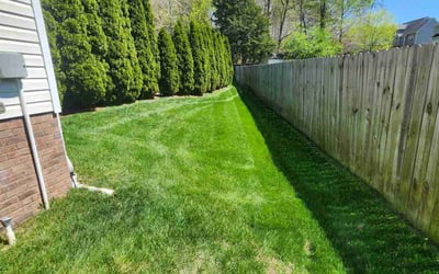 Photo of Kirin C.'s yard after getting lawn care in Clarksville, TN