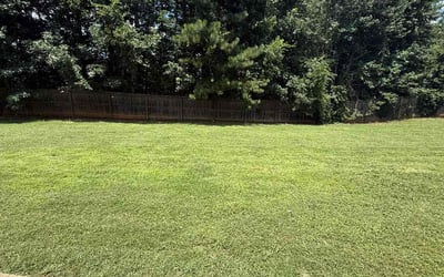 Photo of Lydia R.'s yard after getting lawn care in Katy, TX