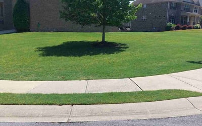 Photo of Terry L.'s yard after getting lawn care in Suwanee, GA