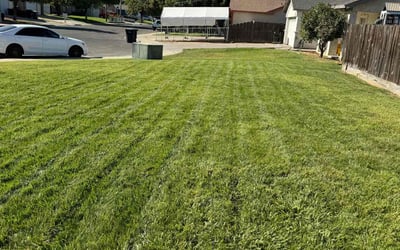 Photo of Clay R.'s yard after getting lawn care in Atwater, CA