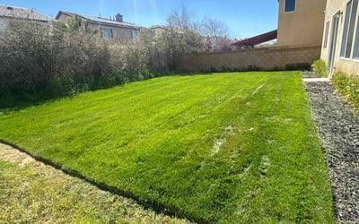 Photo of Susie P.'s yard after getting lawn care in Lancaster, CA