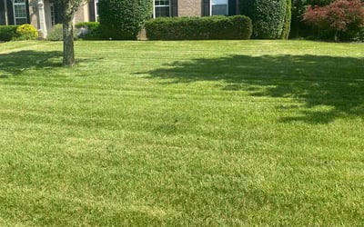 Photo of Lisa L.'s yard after getting lawn care in Milford, OH