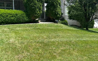 Photo of Wes H.'s yard after getting lawn care in Milford, OH