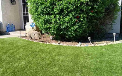 Photo of Danny M.'s yard after getting lawn care in Reedley, CA