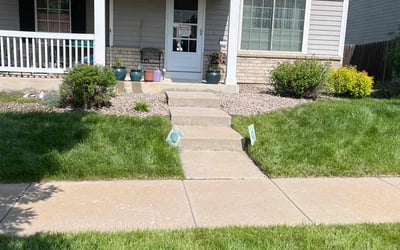Photo of Wraylonta R.'s yard after getting lawn care in Lewisville, TX